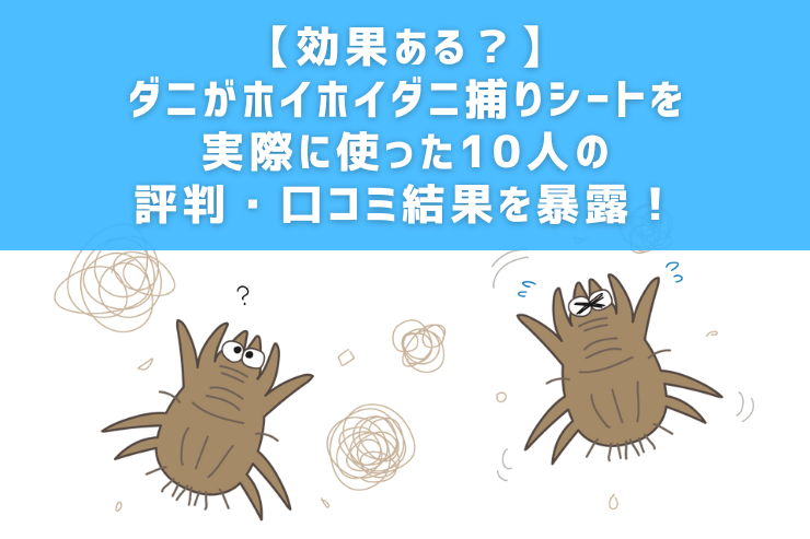 【効果ある？】ダニがホイホイダニ捕りシートを実際に使った10人の評判・口コミ結果を暴露！